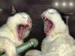 It’s Too Late to&nbsp;Apologiiihiize