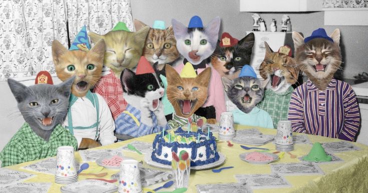 Woot Woot! *heart&nbsp;confetti*