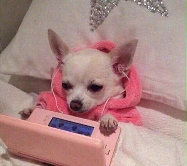 Notes App Shenanigans