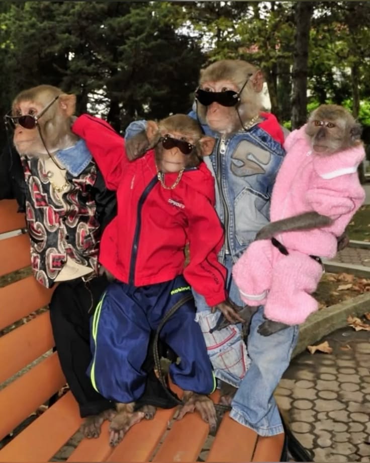 Everything Everywhere All At Once